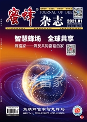蜜蜂杂志