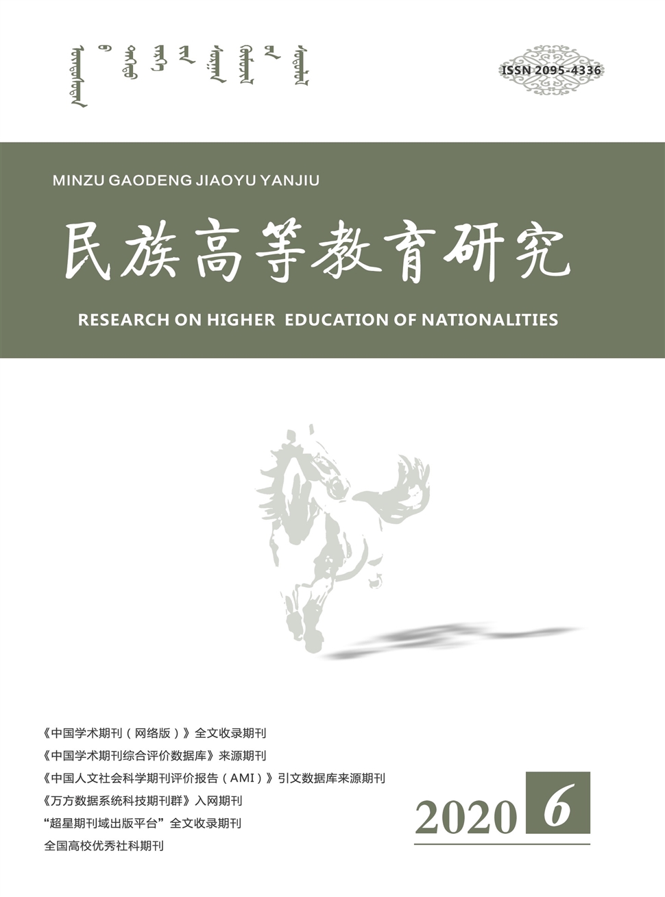 民族高等教育研究