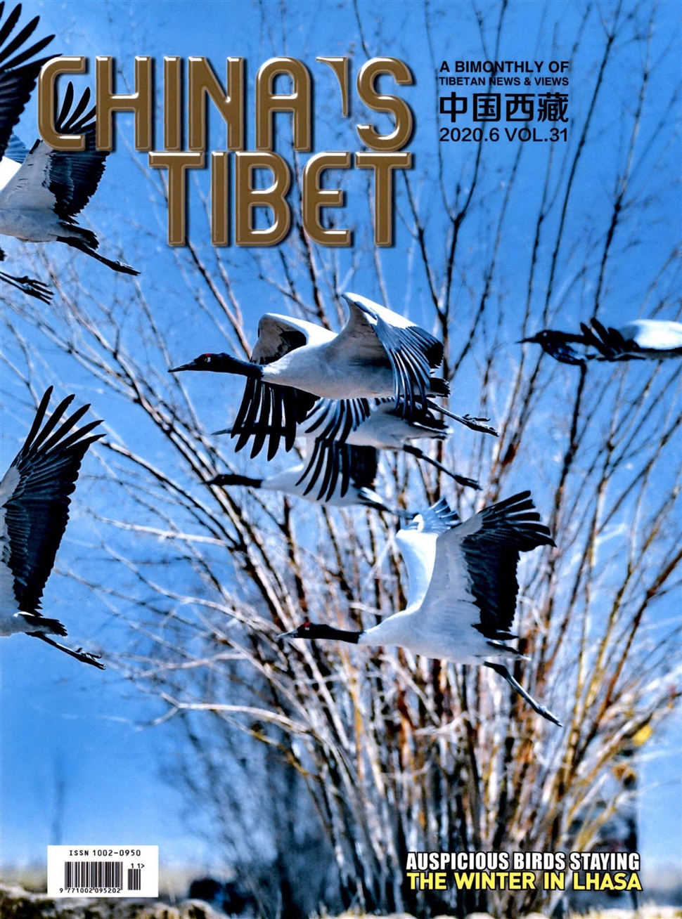 中国西藏：英文版