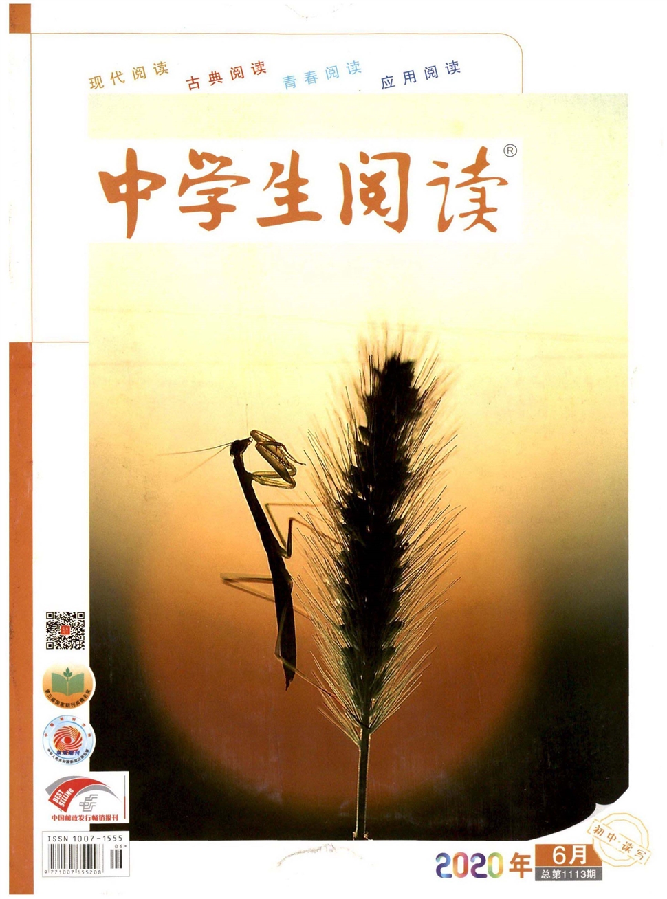 中学生阅读：初中读写