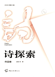 诗探索