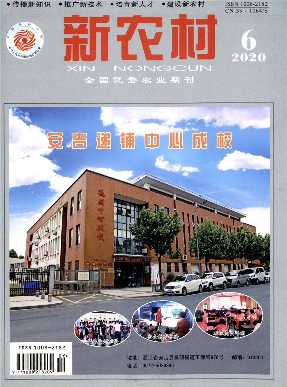 新农村