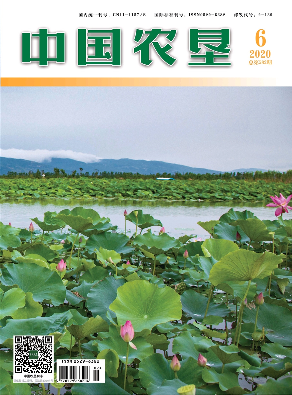 中国农垦
