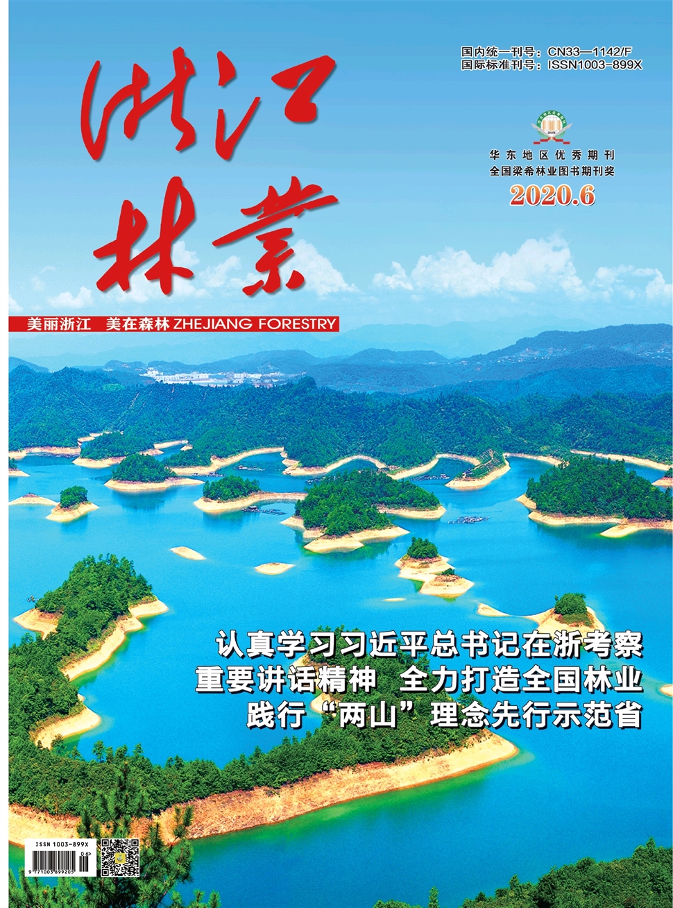 浙江林业