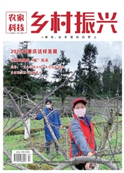 农家科技：乡村振兴