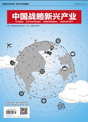 中国战略新兴产业：理论版