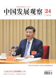 中国发展观察