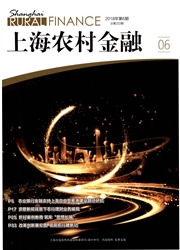 上海农村金融