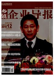 乡镇企业导报