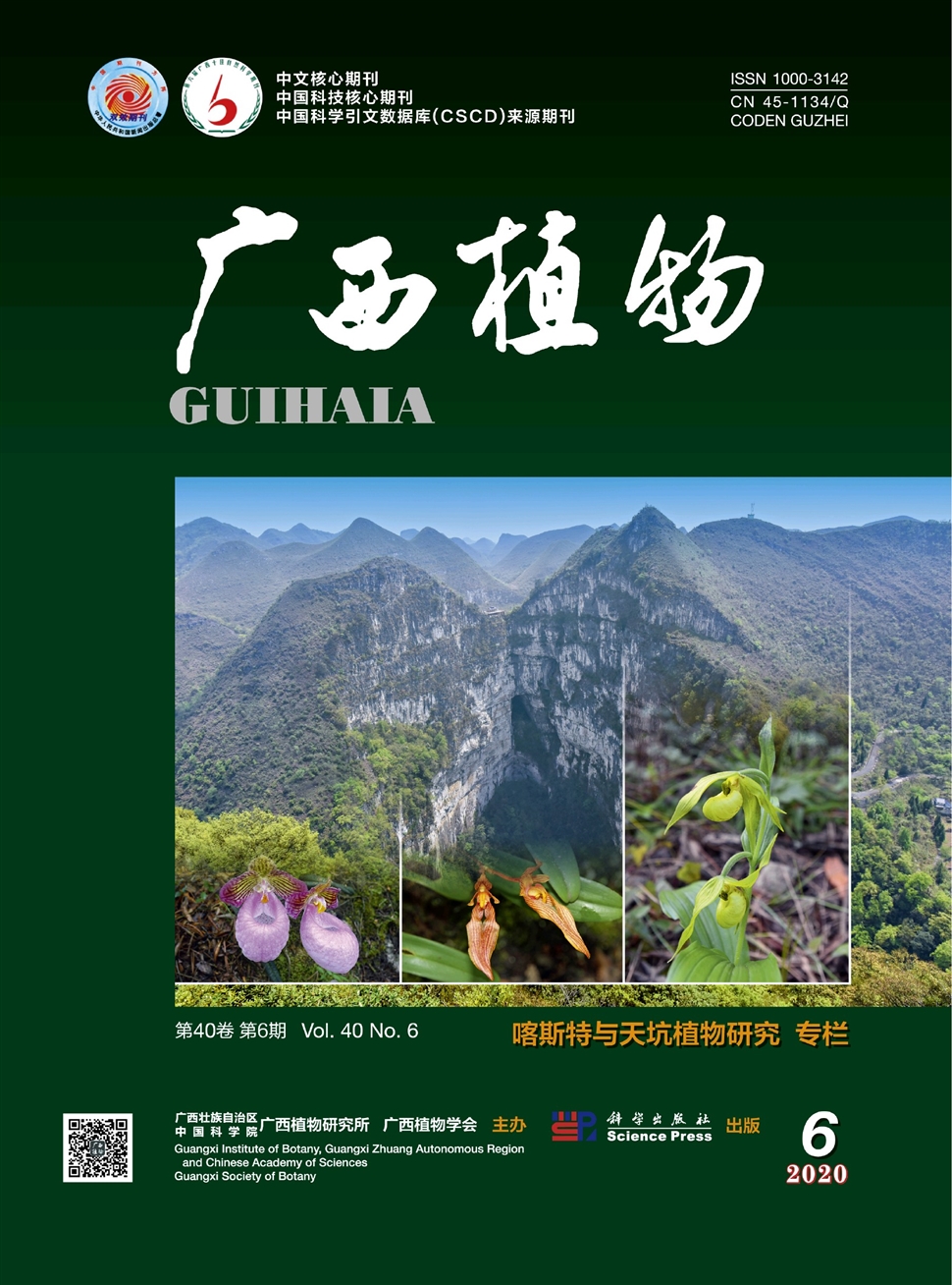 广西植物
