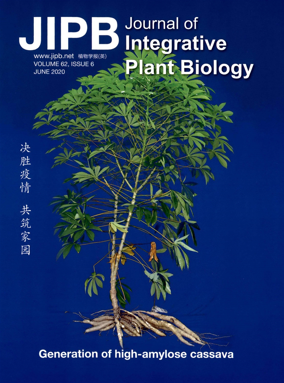 植物学报：英文版
