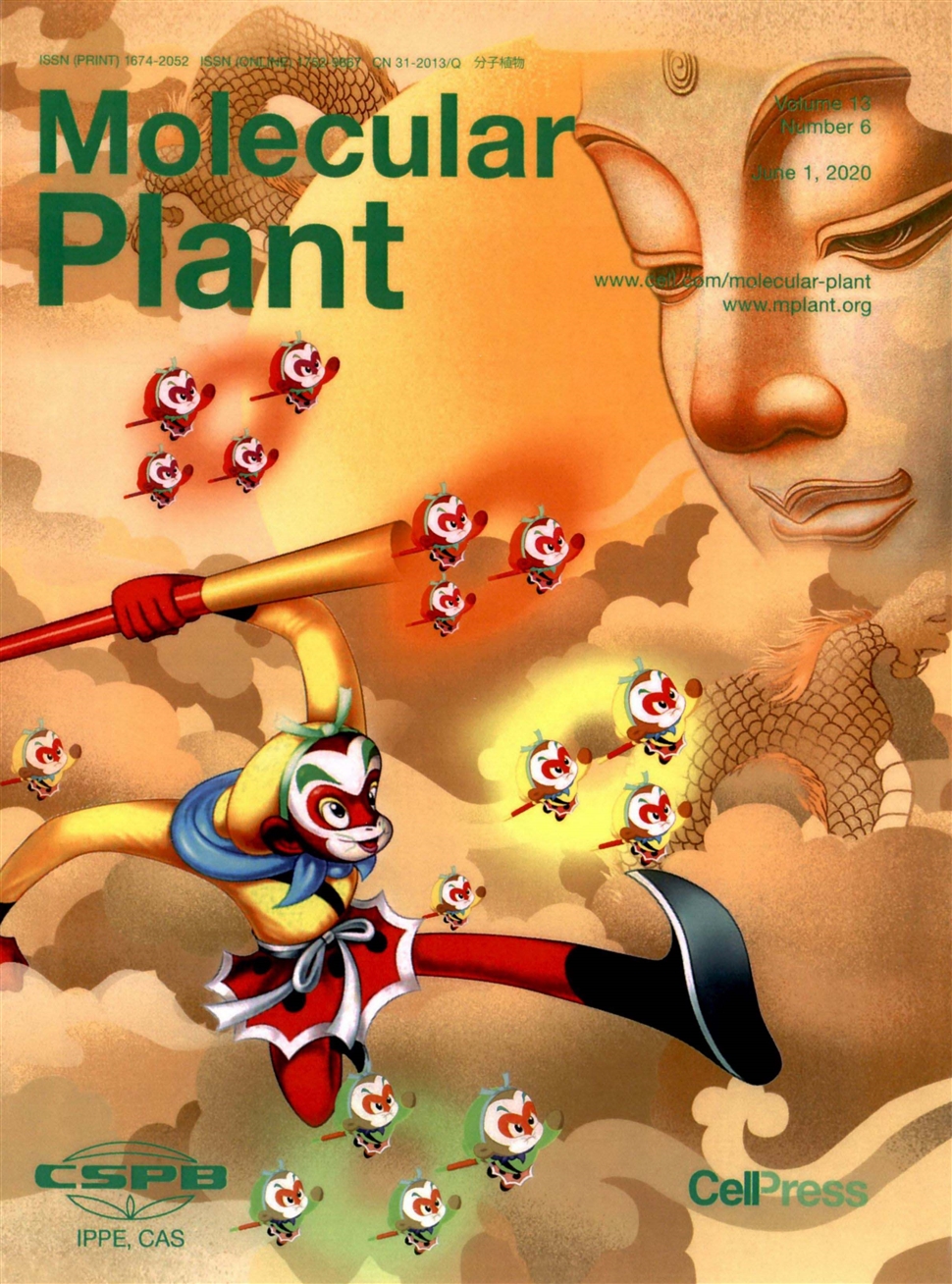分子植物：英文版
