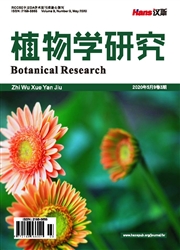 植物学研究