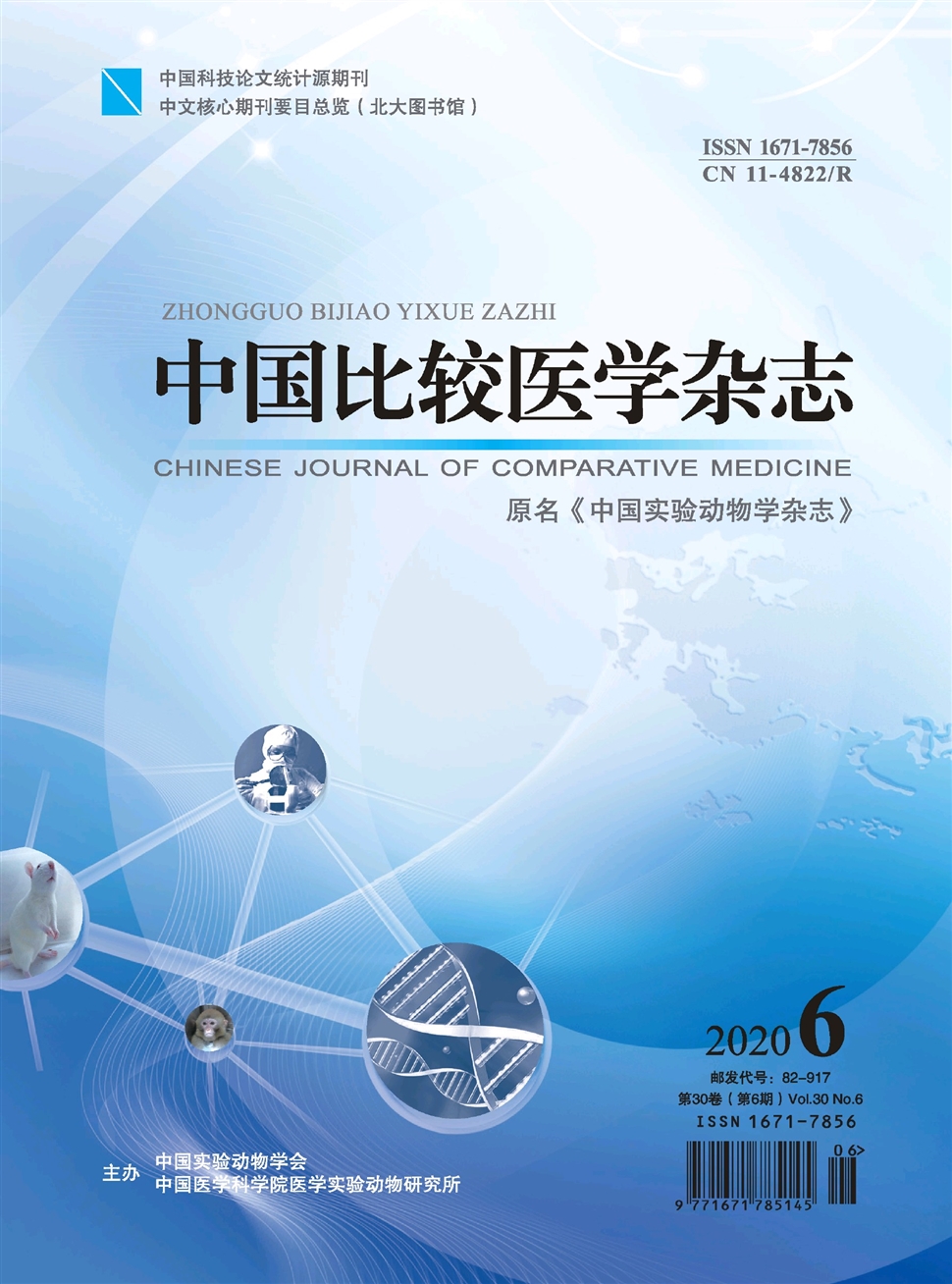中国比较医学杂志