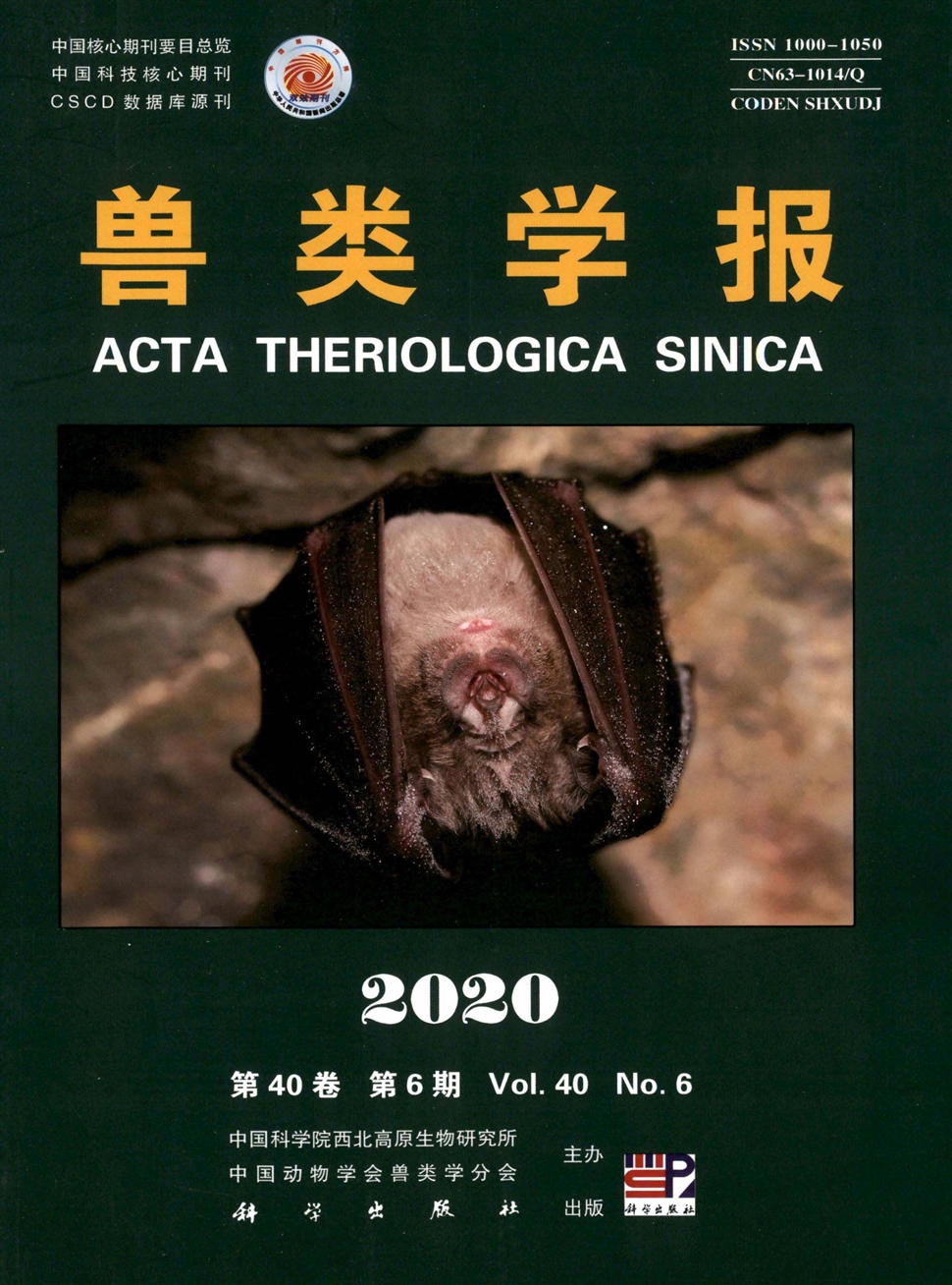 兽类学报