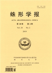 蛛形学报
