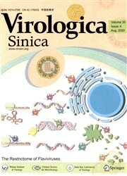 中国病毒学：英文版