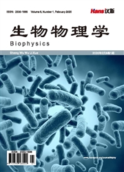 生物物理学