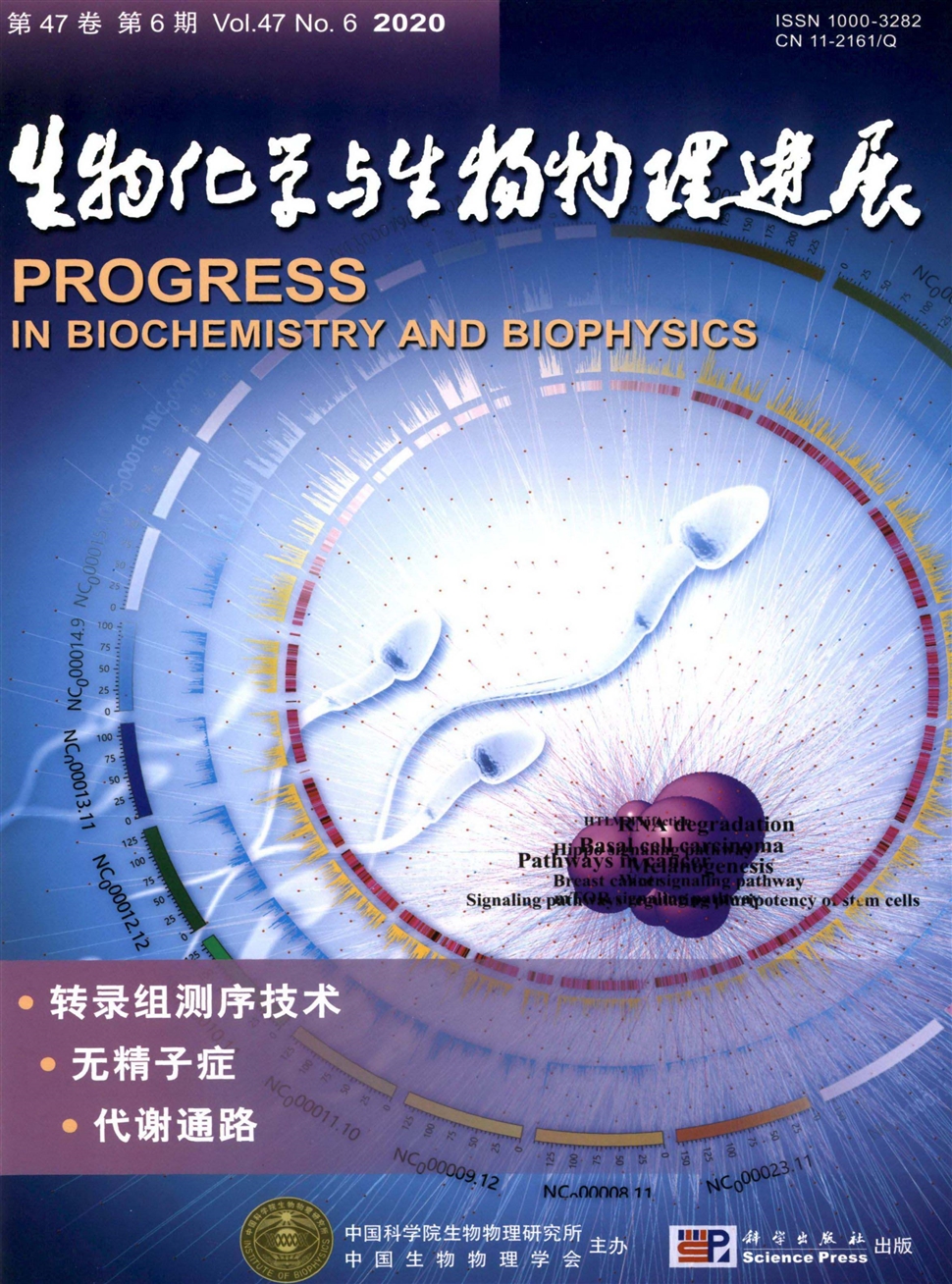 生物化学与生物物理进展