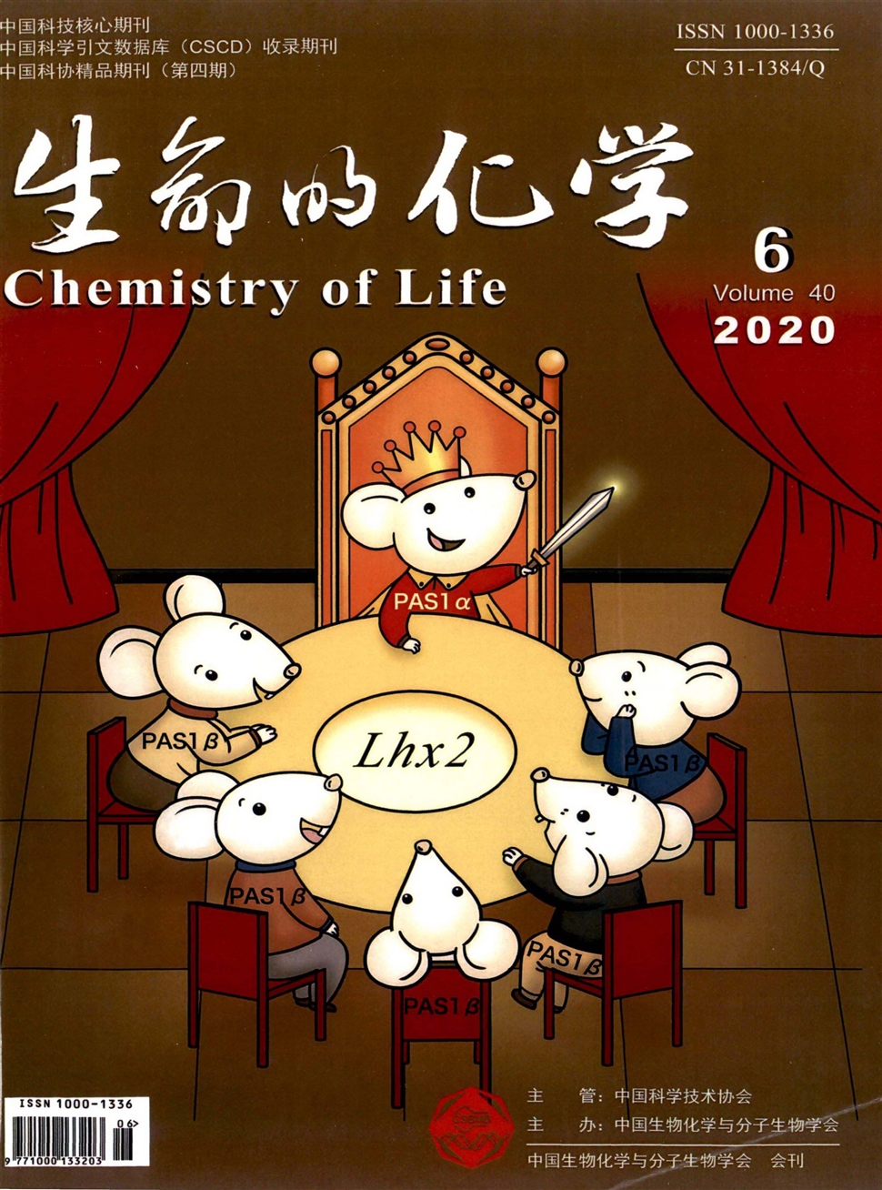 生命的化学