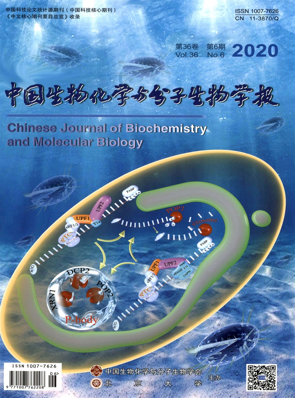 中国生物化学与分子生物学报