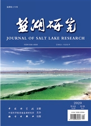 盐湖研究