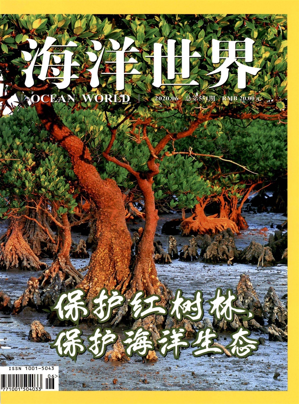 海洋世界