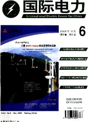 国际电力