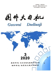国外大电机