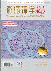 微循环学杂志