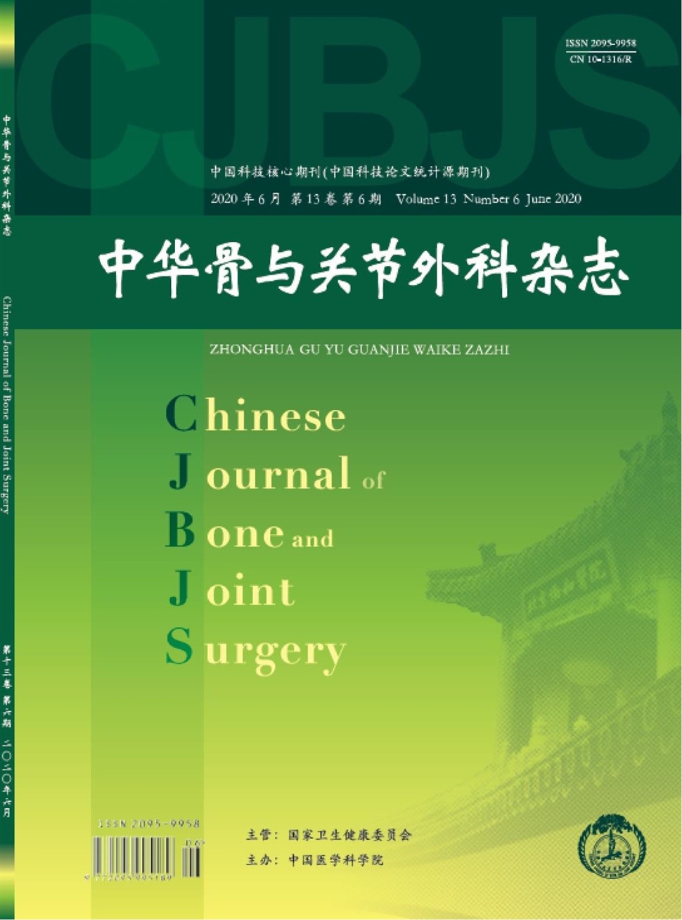 中华骨与关节外科杂志