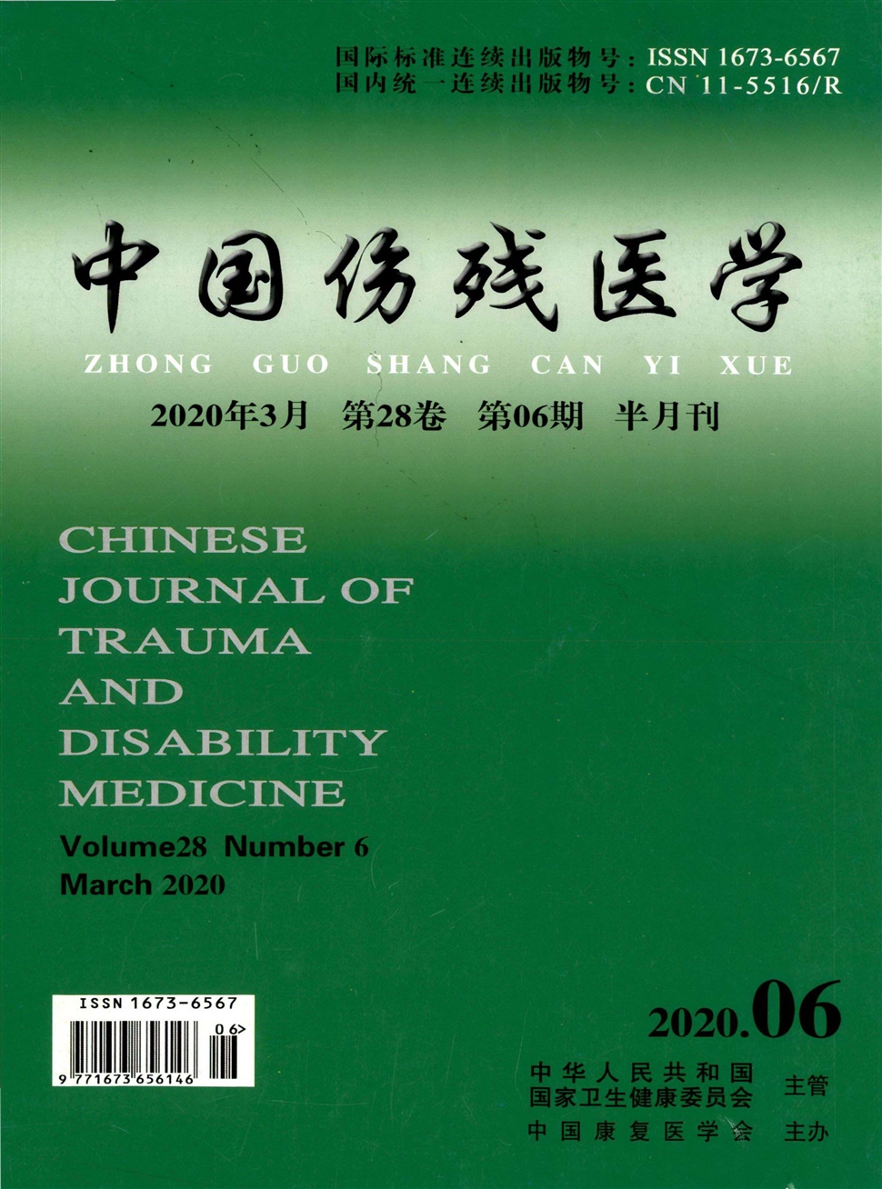 中国伤残医学