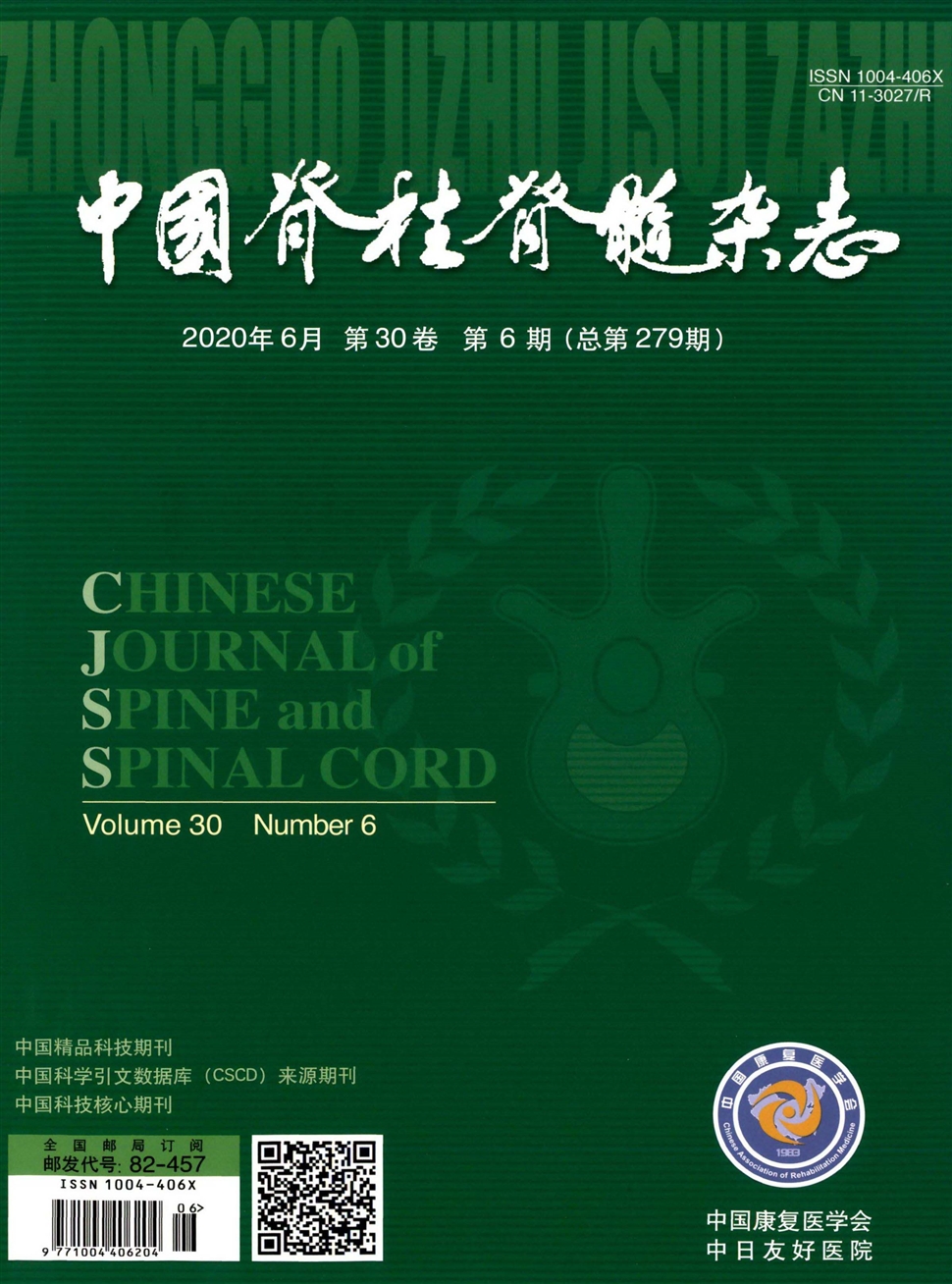 中国脊柱脊髓杂志