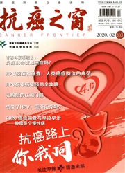 抗癌之窗