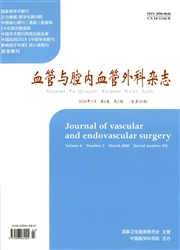 血管与腔内血管外科杂志