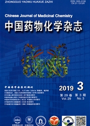 中国药物化学杂志