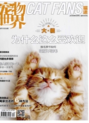 宠物世界：猫迷