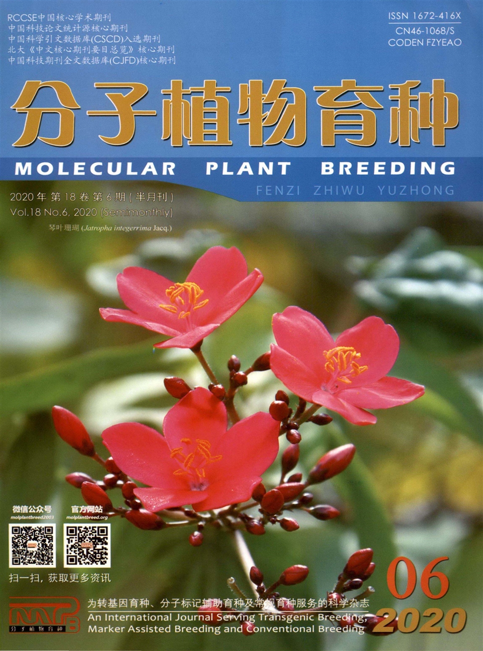 分子植物育种