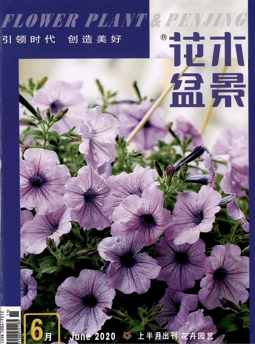 花木盆景：上半月