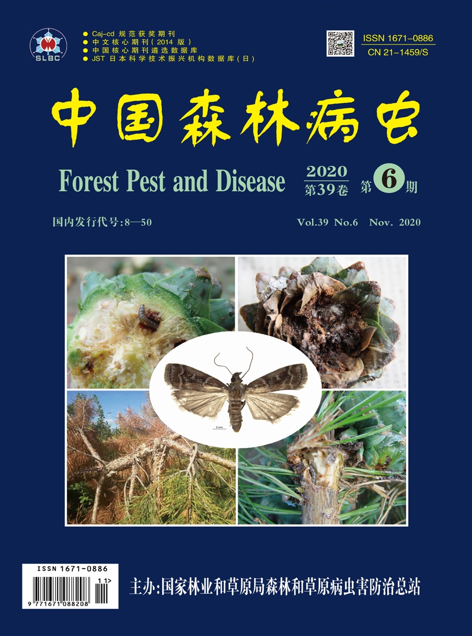 中国森林病虫