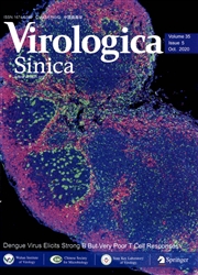中国病毒学：英文版